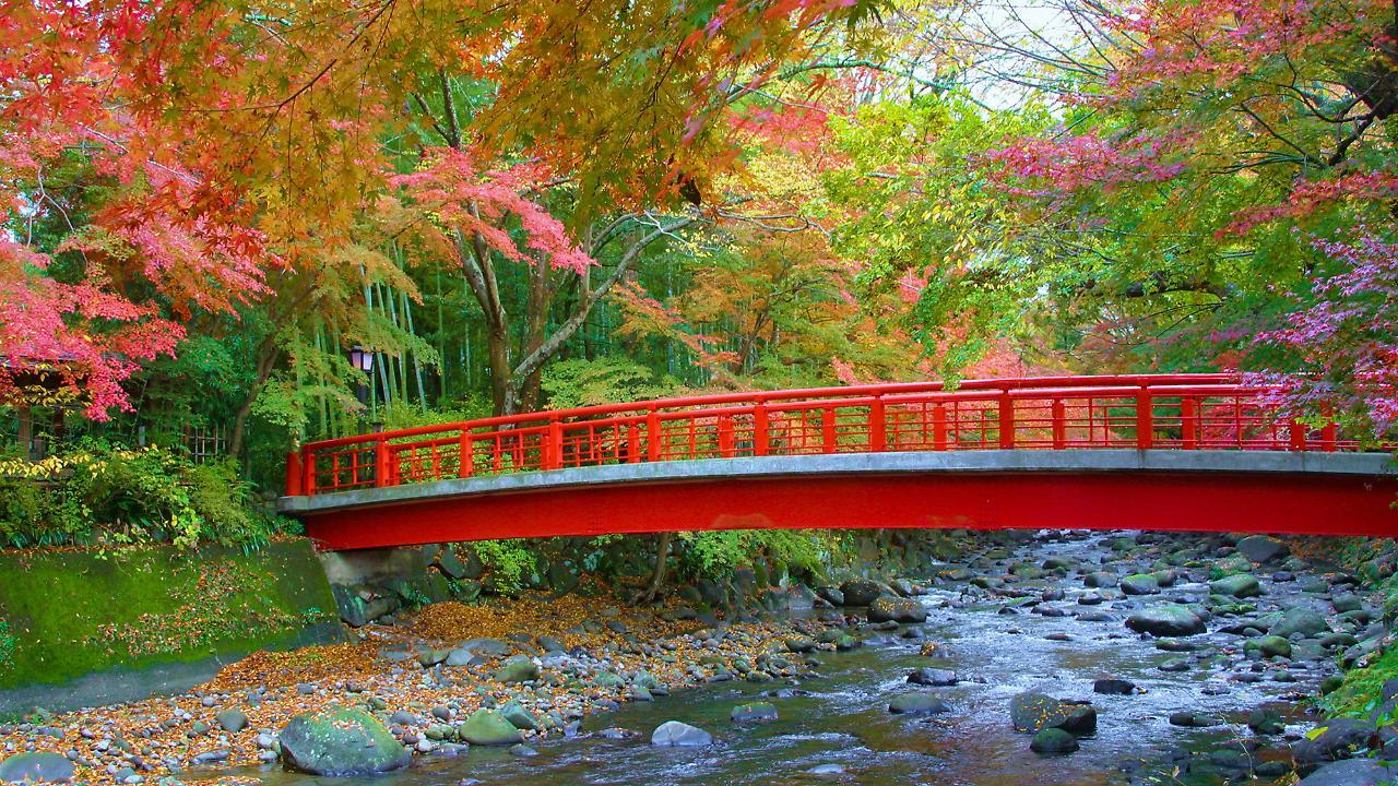 איזו Ooedo Onsen Monogatari Toi Marine Hotel מראה חיצוני תמונה